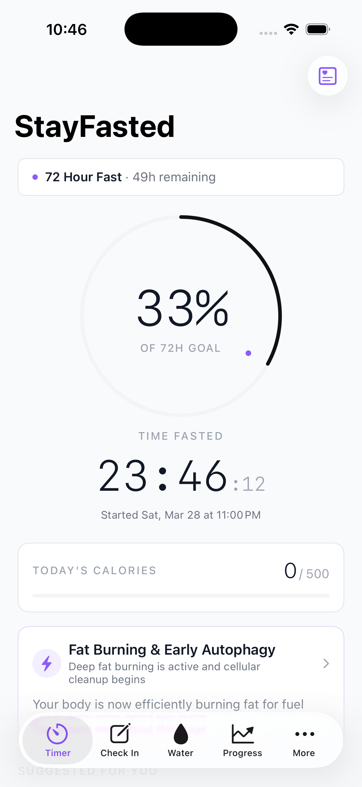 Timer showing 33% of 72-hour fast with stage info